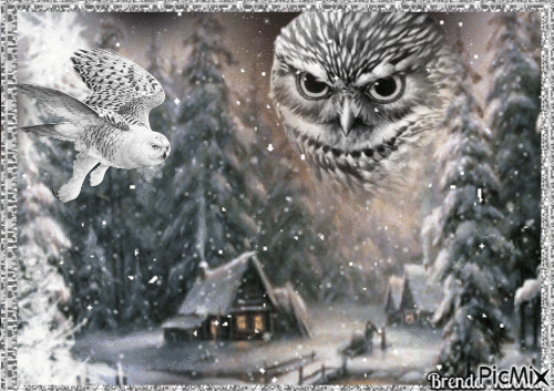 winter owl - Безплатен анимиран GIF