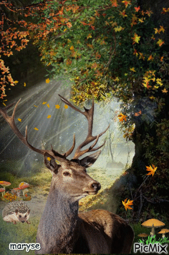 autumn - Ingyenes animált GIF