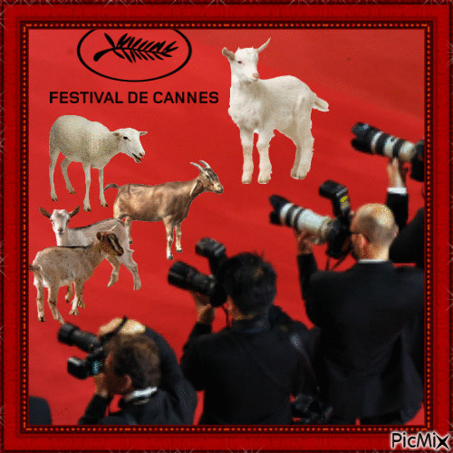 Chèvres au festival de Cannes - Бесплатный анимированный гифка