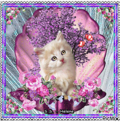 Kitty on a shell of roses. - Gratis geanimeerde GIF