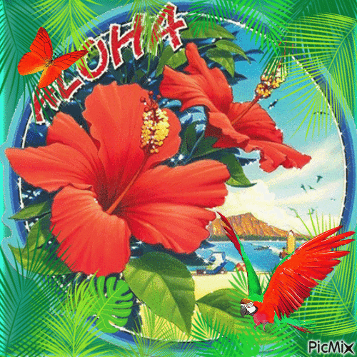 Aloha - Бесплатный анимированный гифка
