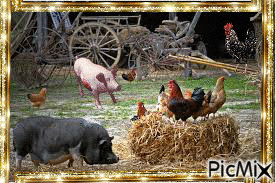 petite ferme - Darmowy animowany GIF