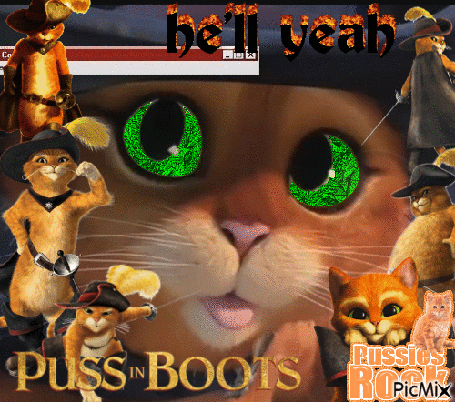 puss in boots - 免费动画 GIF