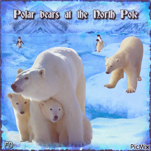 Polarbären - GIF เคลื่อนไหวฟรี