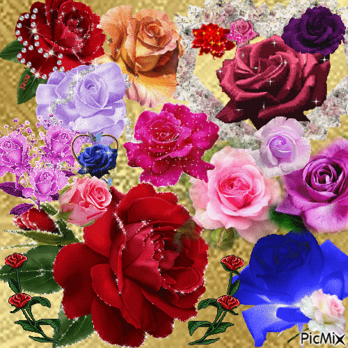This rose is for you - Besplatni animirani GIF
