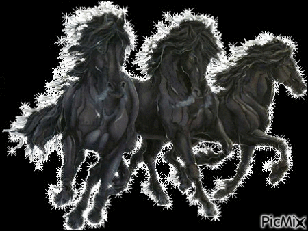 chevaux criniére au vent - Bezmaksas animēts GIF