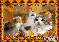 Autumn Play! - GIF animate gratis