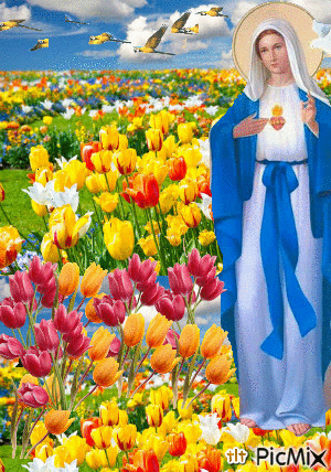 Mary xinh đẹp - GIF animé gratuit