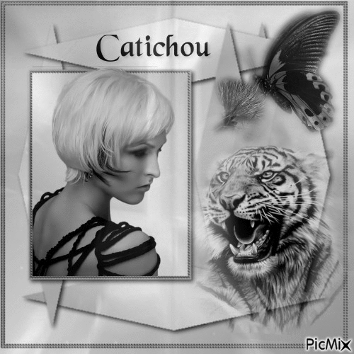 ☀ Création -caticha ☀ - Ingyenes animált GIF