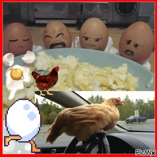 Scrambled Eggs Humor - GIF animasi gratis
