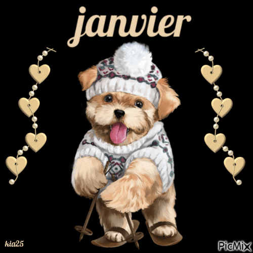 janvier chien - Free animated GIF