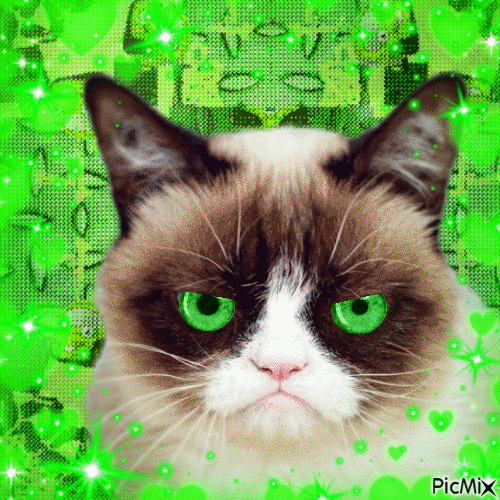 Green Grumpy Cat - Free animated GIF