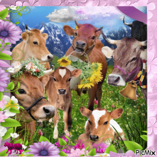Cute cows 🐄 - GIF animado grátis