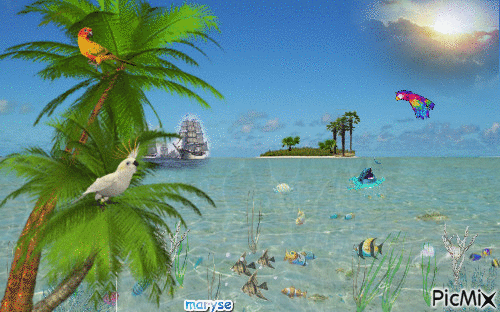 les tropiques - GIF animado grátis