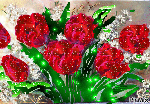 tulipany - Bezmaksas animēts GIF