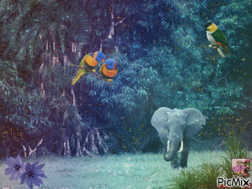éléphant dans la forêt - Zdarma animovaný GIF