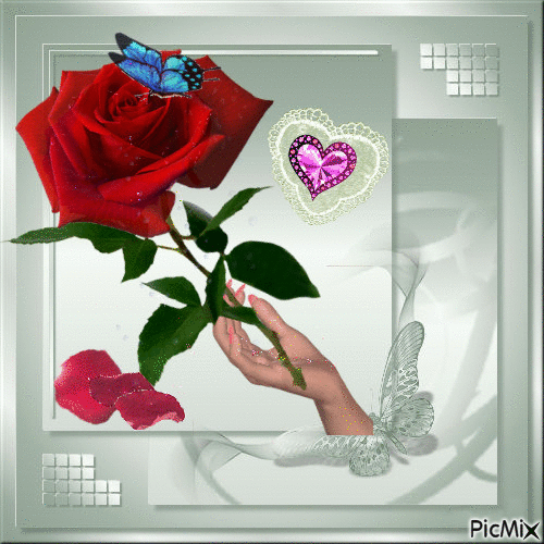 rose de pluie - Besplatni animirani GIF