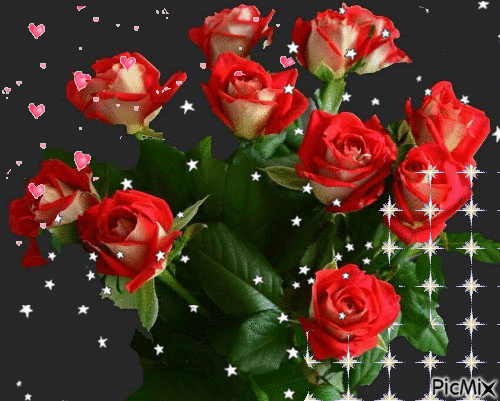 ruže - Безплатен анимиран GIF