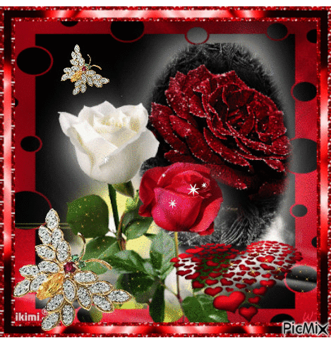 White and red roses. - GIF animate gratis