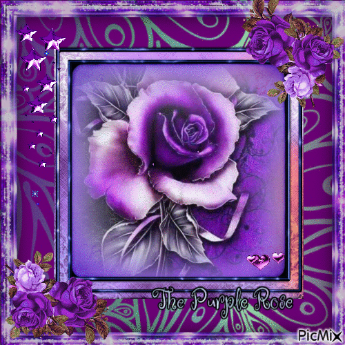 Purple roses - GIF animasi gratis