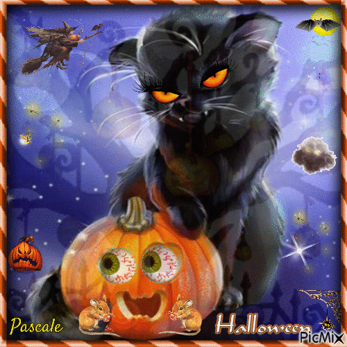 Chat'halloween OCT 2021 - Free animated GIF