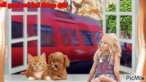 train child animals dog cat tree - Бесплатный анимированный гифка