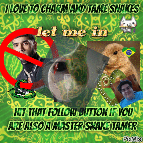 i love to charm and tame snakes - GIF animé gratuit