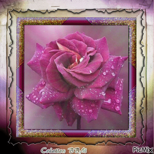 Rose pourpre par BBM - Darmowy animowany GIF