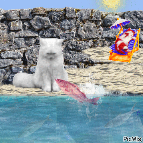 Cats on the beach - 免费动画 GIF