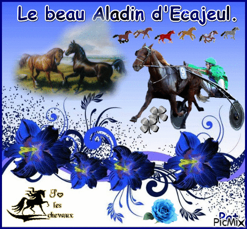 Le champion Aladin d'Ecajeul. - Free animated GIF