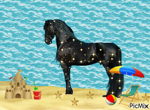 strand met paard - Gratis geanimeerde GIF