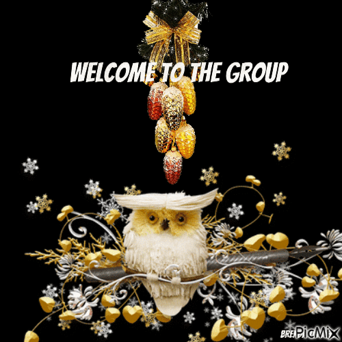 Christmas welcome owl - GIF animado grátis