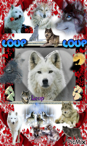 le loup - Δωρεάν κινούμενο GIF