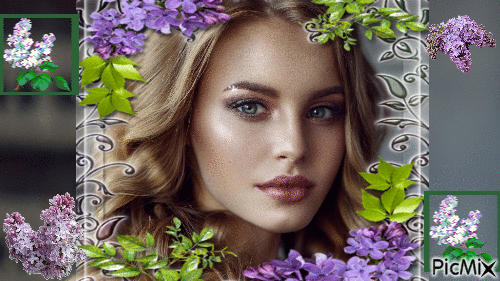 Lilac - Δωρεάν κινούμενο GIF