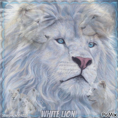 White Lion - GIF animado gratis