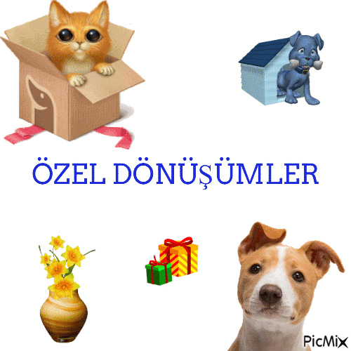 ÖZEL DÖNÜŞÜMLER 3 - 無料のアニメーション GIF