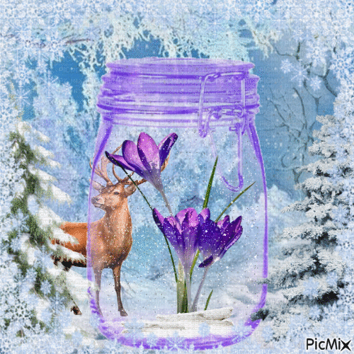 Fleur d'hiver dans un pot. - Animovaný GIF zadarmo