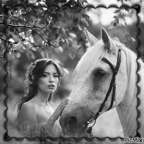 Femme et cheval. - GIF animasi gratis