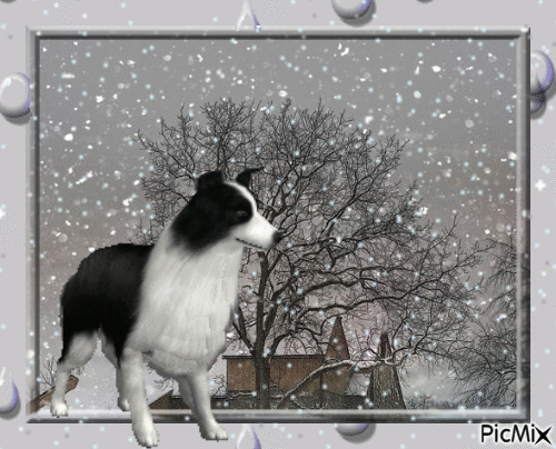 Pluie et neige - GIF animado gratis