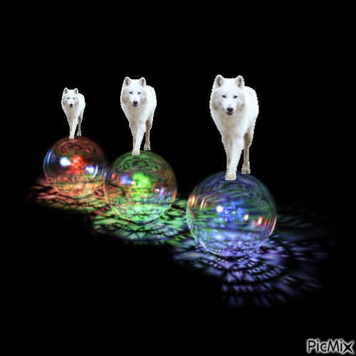 Trois loups - nemokama png