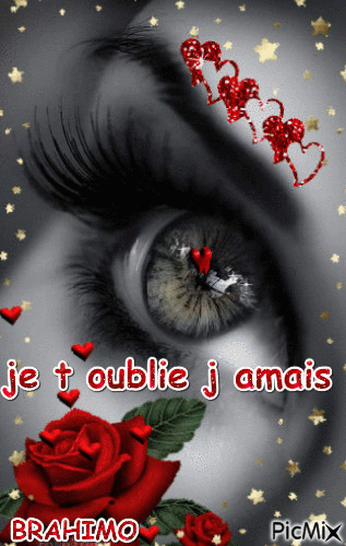 UN AMOUR INOUBLIABLE - Free animated GIF