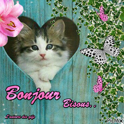 bonjour udg - Безплатен анимиран GIF