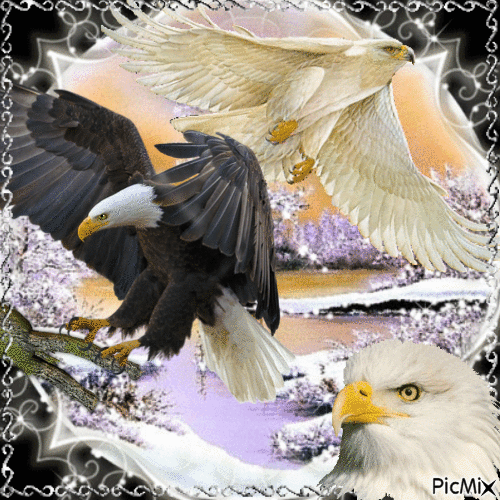 Un águila en el invierno - Ingyenes animált GIF