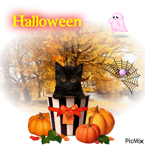 Halloween Kitty - GIF animado grátis