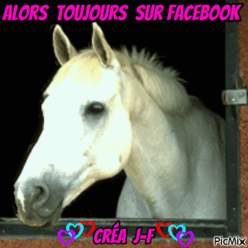 alors toujours sur facebook - Free animated GIF