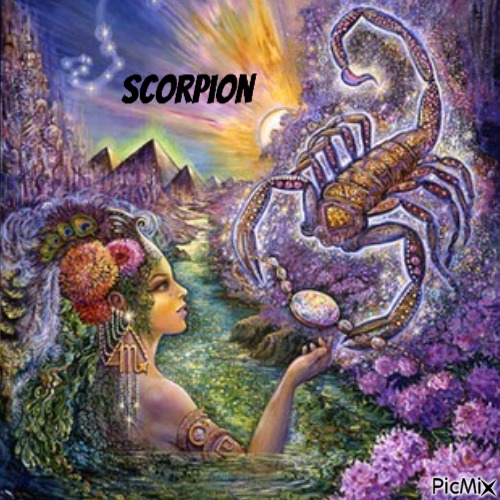 scorpion - 免费PNG