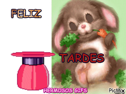 FELIZ TARDE - Free animated GIF