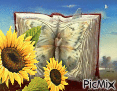 Libro troquelado - Ingyenes animált GIF