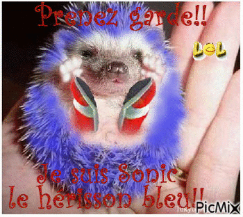 Le petit hérisson bleu - Besplatni animirani GIF