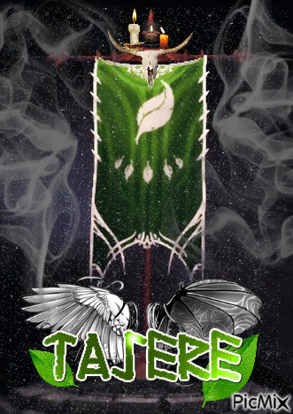 Diablo Banner Tasere - Animovaný GIF zadarmo